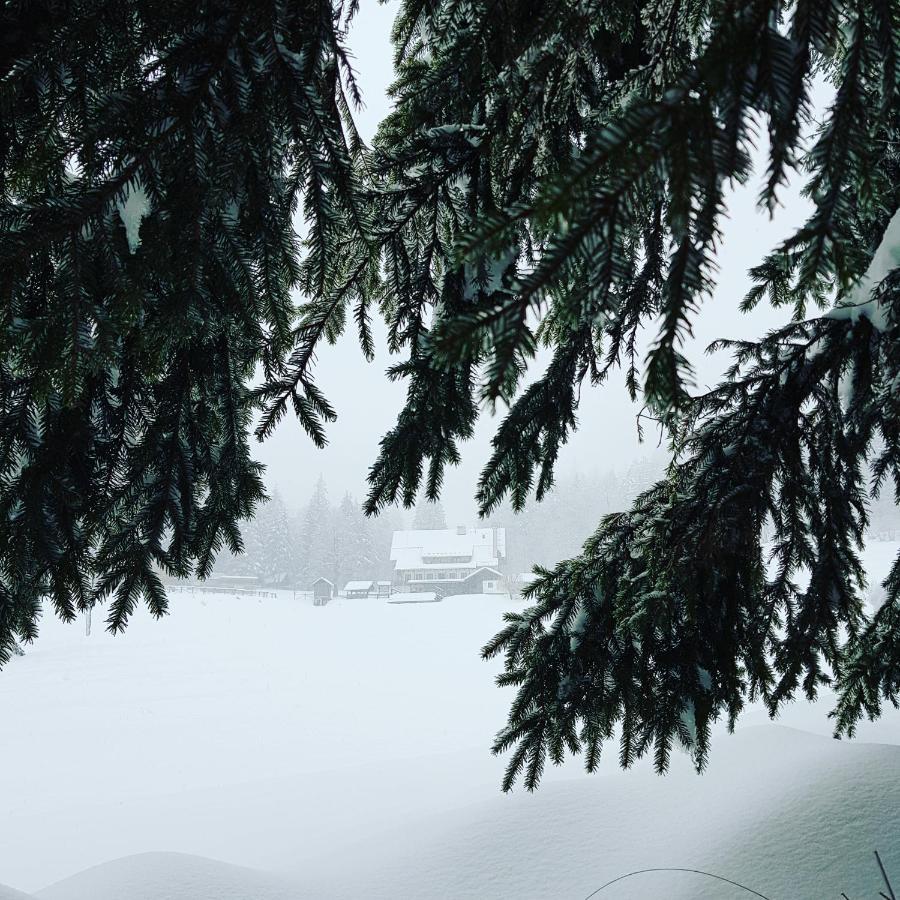 Planinski Dom Na Travni Gori Sodrazica Dış mekan fotoğraf