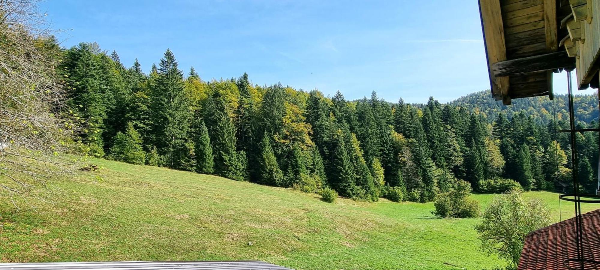 Planinski Dom Na Travni Gori Sodrazica Dış mekan fotoğraf